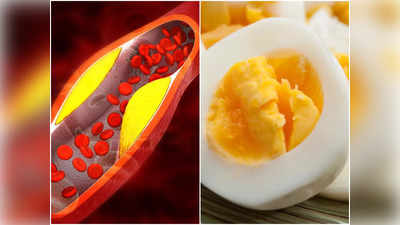 Egg Cholesterol Myth: কোলেস্টেরল রোগীও খেতে পারেন সাধের ডিমের কুসুম! কিন্তু কতগুলি? জানুন চিকিৎসকের মত