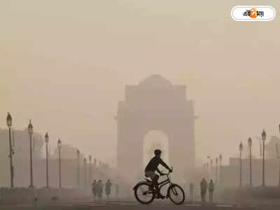 PM 2.5 Pollution: পিএম ২.৫ দূষণে গোটা বিশ্বে প্রথম দিল্লি, দ্বিতীয় কলকাতা