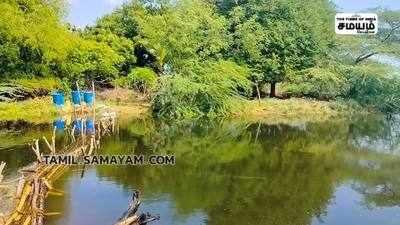 அலட்சியம் காட்டிய அதிகாரிகள்; மரப்பாலம் அமைத்த கிராம மக்கள்!