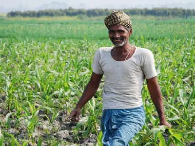 சேலம் விவசாயிகளுக்கு ஹேப்பி நியூஸ்.. மாவட்ட ஆட்சியர் உத்தரவு!