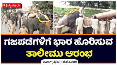 Mysore: ಅರಮನೆ ನಗರಿಯಲ್ಲಿ ದಸರಾಗೆ ಭರದ ಸಿದ್ಧತೆ: ಗಜಪಡೆಗಳಿಗೆ ಭಾರ ಹೊರಿಸುವ ತಾಲೀಮು ಆರಂಭ