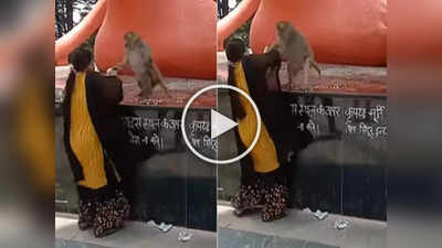 Funny Video: महिलेनं माकडासोबत केली हाणामारी, मंदिरात पाया पडताना पळवला चष्मा