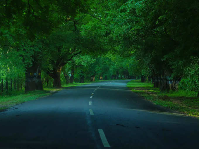 ಬೆಂಗಳೂರಿನಿಂದ ಊಟಿಗೆ