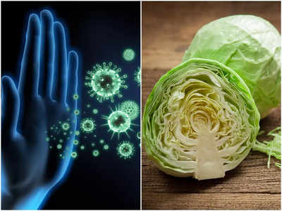 Cabbage Benefits: সিজন চেঞ্জের অসুখ কাঁছে ঘেঁষবে না, শুধু পাতে রাখুন এই ম্যাজিক সবজি!