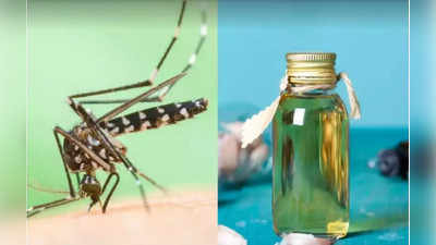 diy mosquito liquid : ஓட ஓட கொசுவை விரட்ட கெமிக்கல் இல்லாத  கொசுவிரட்டி ரெசிபி.. அற்புதமான ஆயுர்வேத குறிப்பு!