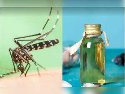 diy mosquito liquid : ஓட ஓட கொசுவை விரட்ட கெமிக்கல் இல்லாத  கொசுவிரட்டி ரெசிபி.. அற்புதமான ஆயுர்வேத குறிப்பு!