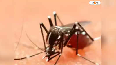 Dengue: হাওড়ায় ডেঙ্গি আক্রান্ত হয়ে যুবকের মৃত্যু! বাড়ছে উদ্বেগ