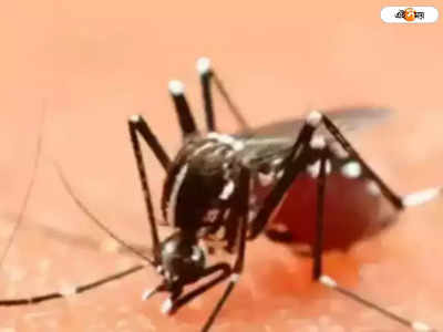Dengue: হাওড়ায় ডেঙ্গি আক্রান্ত হয়ে যুবকের মৃত্যু! বাড়ছে উদ্বেগ