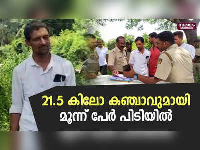 21.5 കിലോ കഞ്ചാവുമായി മൂന്ന് പേർ കുറ്റിപ്പുറം പോലീസിന്റെ പിടിയിൽ