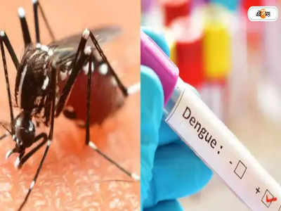 Dengue: ডেঙ্গিও ছড়াচ্ছে উপসর্গহীনদের থেকে: সমীক্ষা