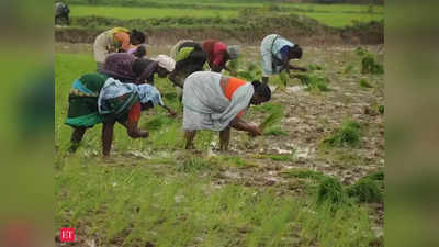 Farmers: రైతులకు ప్రభుత్వం శుభవార్త.. రూ. 3 లక్షల వరకు రుణాలపై కీలక నిర్ణయం!