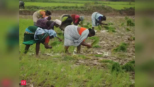 Farmers: రైతులకు ప్రభుత్వం శుభవార్త.. రూ. 3 లక్షల వరకు రుణాలపై కీలక నిర్ణయం! 