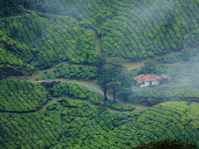 ಮುನಾರ್