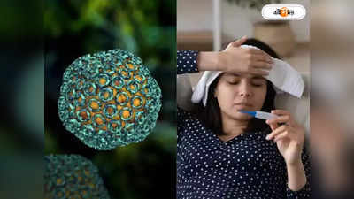 Viral Fever Kolkata: একধাক্কায় জ্বর উঠছে ১০৩-১০৪ ডিগ্রি! নয়া ইনফ্লুয়েঞ্জায় কাবু কলকাতা