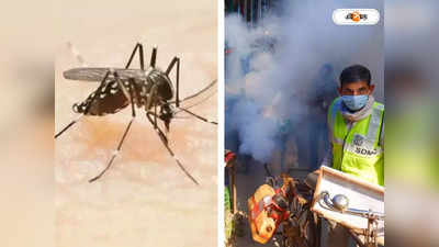 Dengue: Howrah-য় ডেঙ্গির থাবা! মৃত ১ , চিকিৎসাধীন পরিবারের ৩ সদস্য