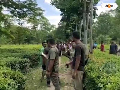 Alipurduar News: জোড়া হাতির রহস্যমৃত্যু আলিপুরদুয়ারে! তদন্তে বন আধিকারিকরা