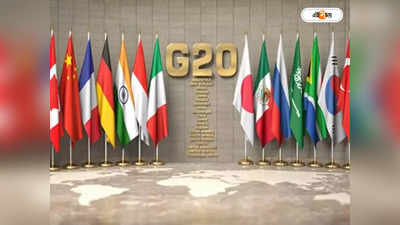 G20 Summit 2022: জি ২০ বৈঠকে যোগ দেওয়ার কোন নৈতিক অধিকার নেই রাশিয়ার, ফুঁসে উঠল ব্রিটেন