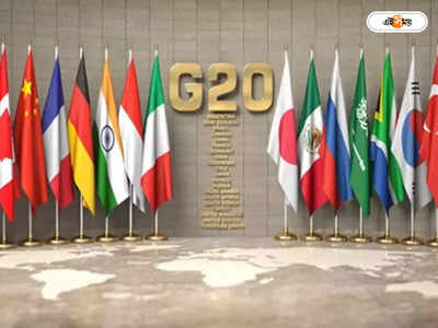 G20 Summit 2022: জি ২০ বৈঠকে যোগ দেওয়ার কোন নৈতিক অধিকার নেই রাশিয়ার, ফুঁসে উঠল ব্রিটেন