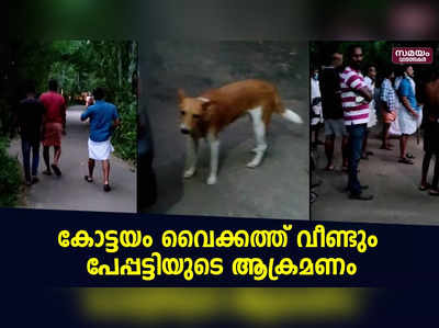 കോട്ടയം വൈക്കത്ത് വീണ്ടും പേപ്പട്ടിയുടെ ആക്രമണം; ആറു പേർക്ക് കടിയേറ്റു