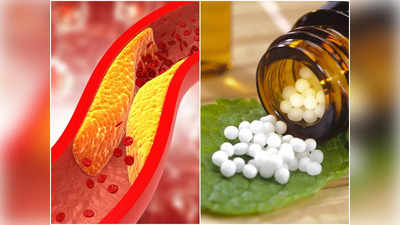 Homeopathy Treatment for Cholesterol: আর জ্বালাবে না কোলেস্টেরল, হোমিওপ্যাথিতেই মিলবে একদম মুক্তি! জানুন বিশেষজ্ঞ চিকিৎসকের কাছে