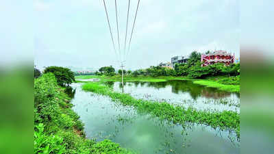 Bengaluru lakes: ಬೆಂಗಳೂರಿನಲ್ಲಿ ಶೇ.35ರಷ್ಟು ಕೆರೆ ಜಲಚರ ವಾಸಕ್ಕೆ ಅಯೋಗ್ಯ; ಕೆಎಸ್‌ಪಿಸಿಬಿ ಬಹಿರಂಗ