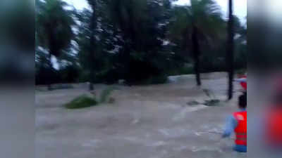 Ashok Nagar Rainfall: अशोकनगर में उफनते नाले में बही कार, तीन ने पेड़ पर बिताई रात, सरपंच की मौत