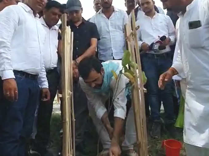 Pankaj Tripathi urges fans to plant trees