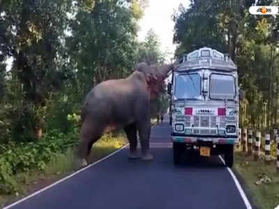 Medinipur News: চলন্ত ট্রাক থামিয়ে চালের বস্তা নামিয়ে উদরপূর্তি রামলালের, হাতির কীর্তিতে তাজ্জব সকলে!