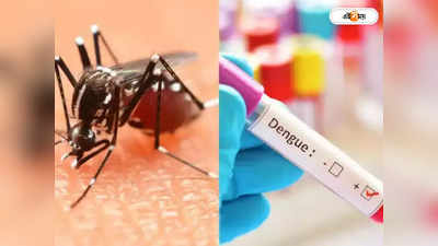 Dengue in Siliguri: হু হু করে বাড়ছে ডেঙ্গি আক্রান্তের সংখ্যা! একগুচ্ছ পদক্ষেপ শিলিগুড়ি পুরসভার