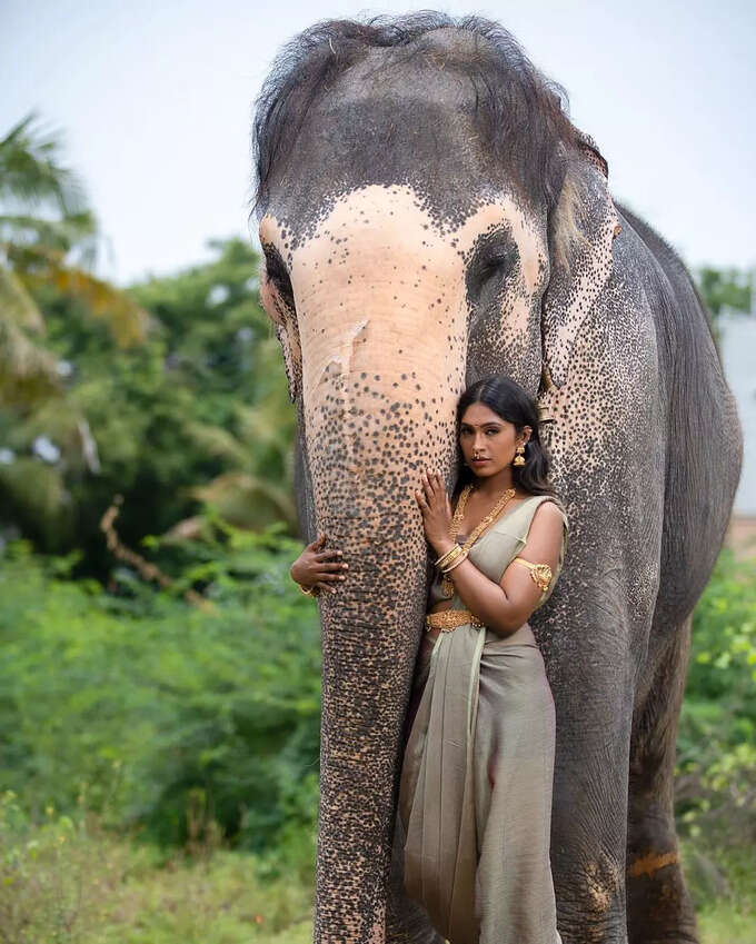 சுருதி பெரியசாமி