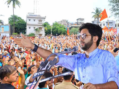 मातोश्रीवर शिवसैनिकांची रिघ,आदित्य ठाकरेंच्या सभांना तरुणाईचा तुफान प्रतिसाद, विरोधकांची घालमेल