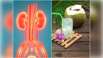 Healthy Diet For Kidney: এই ৫ খাবার কিডনির জন্য অমৃত, খেলেই ক্ষতিকর টক্সিন হবে জব্দ! জানালেন পুষ্টিবিদ