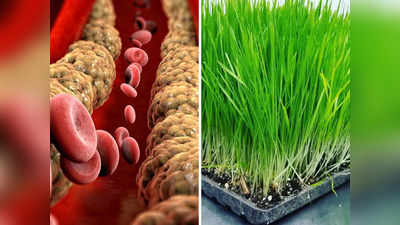 Cholesterol reducing food: औषधि से कम नहीं ये हरी घास, खून में जमा सारा गंदा कोलेस्ट्रॉल निकाल देंगी बाहर