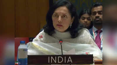 UNSC में भारत ने चीन को खूब सुनाया, आतंकवाद के मुद्दे पर पाकिस्तान को लगाई लताड़
