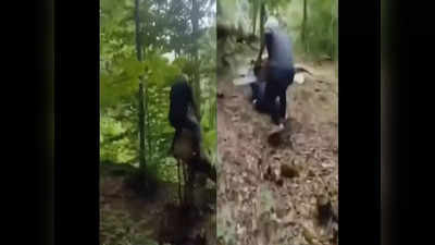 Viral Video: कटे पेड़ ने काटने वाले को ही पटक डाला, वीडियो देख हंस देंगे आप, आनंद महिंद्रा ने भी ठोकी ताली