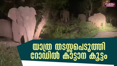 മാമലകണ്ടം നിവാസികളുടെ യാത്ര തടസ്സപെടുത്തി റോഡിൽ കാട്ടാന കൂട്ടം നിലയുറപ്പിച്ചു