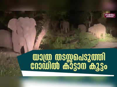 മാമലകണ്ടം നിവാസികളുടെ യാത്ര തടസ്സപെടുത്തി റോഡിൽ കാട്ടാന കൂട്ടം നിലയുറപ്പിച്ചു