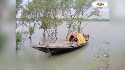 Sundarbans: স্ত্রীর সামনেই তুলে নিয়ে গেল বাঘ, কাঁকড়া ধরতে গিয়ে মর্মান্তিক পরিণতি মৎস্যজীবীর