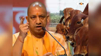 Uttar Pradesh News: উত্তরপ্রদেশে চর্মরোগ আতঙ্ক! পশু মেলা বন্ধ করল যোগী সরকার