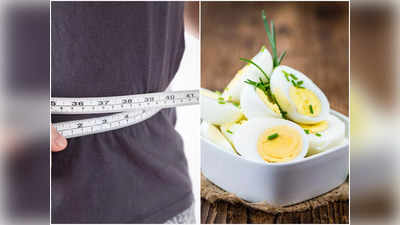 Weight Loss With Egg: সস্তার ডিম খেয়ে কয়েকদিনেই ওজন কমান, হয়ে উঠুন সেলেবদের মতো ফিট! কী ভাবে খাবেন, জানুন তাড়াতাড়ি