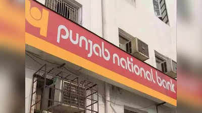 PNB Credit Card: গ্রাহকদের জন্য বড় ঘোষণা পিএনবির, স্যালারি অ্যাকাউন্ট থাকলেই মিলবে বিশেষ সুবিধা