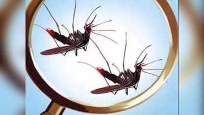 Best Selling Mosquito Killer Machine: వీటితో దోమ‌ల నుంచి పూర్తి ర‌క్ష‌ణ