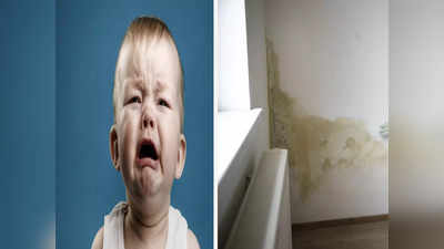 घरच्या भिंतींवर सामान्य दिसणारी ही बुरशी मुलांना पाडते आजारी, टिप्स फॉलो करून संसर्ग टाळा