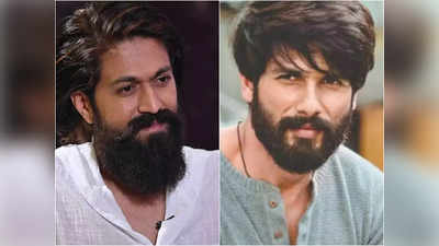 Yash: ಬಾಲಿವುಡ್‌ನ ನಂ. 1 ಹೀರೋ ರಾಕಿ ಭಾಯ್‌ ಯಶ್‌.. ಎಂದ ಶಾಹಿದ್ ಕಪೂರ್‌