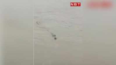 बाढ़ से परेशान लोगों को सता रहा खूंखार मगरमच्छ का डर, दहशत में ग्रामीण, देखें वायरल वीडियो