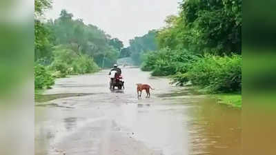 UP News: यमुना में बाढ़ हुई विकराल, 30 गांव पर बड़ा खतरा, बांदा में कानपुर जाने वाला स्टेट हाईवे बंद