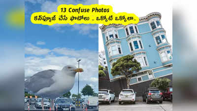 13 Confuse Photos : కన్‌ఫ్యూజ్ చేసే ఫొటోలు .. ఒక్కోటీ ఒక్కోలా.. 