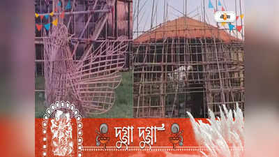 Durga Puja 2022: পাখি বাঁচাতে সচেতনতার বার্তা, রায়গঞ্জের পুজো থিমে চমক