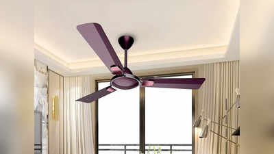 ये ब्रांडेड Crompton Ceiling Fan कमरे के हर कोने देते हैं तेज हवा, देखें यह डिजाइनर विकल्प
