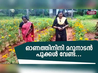 ഓണത്തിനിനി മറുനാടൻ പൂക്കൾ വേണ്ട, ചെണ്ടുമല്ലി വസന്തം വിരിയിച്ചു ഈ വനിതാകൂട്ടായ്മ